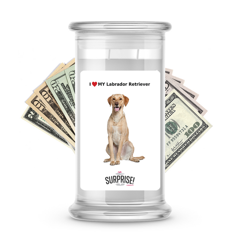 I ❤️ My Labrador retriever | Dog Surprise Cash Candles