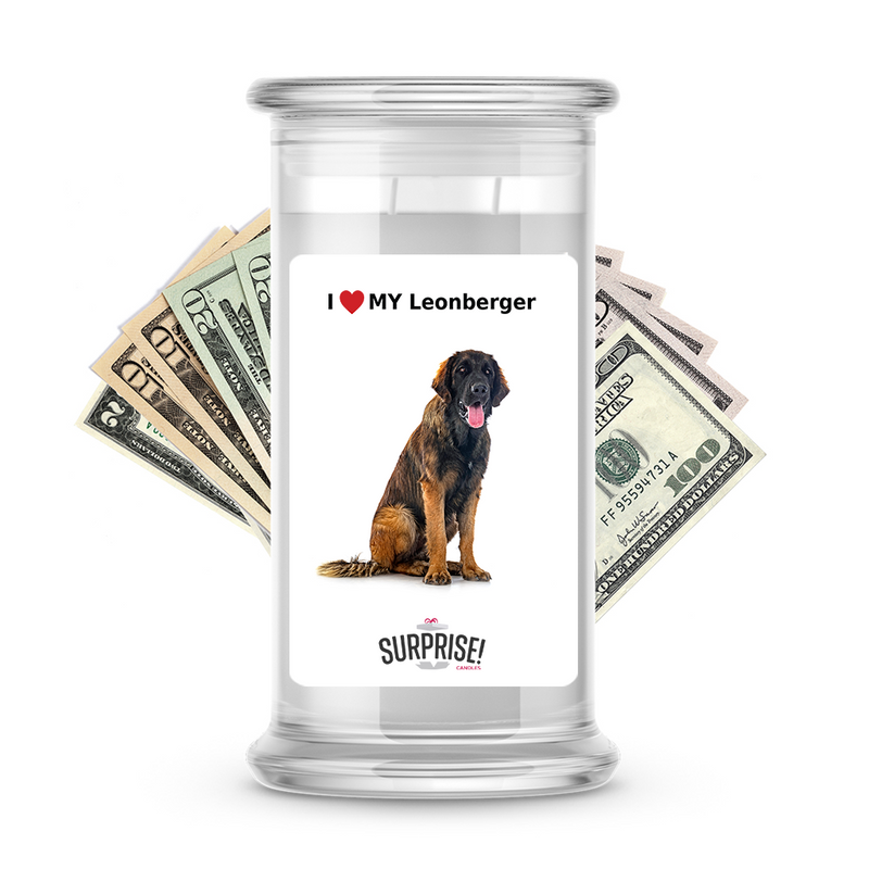 I ❤️ My Leonberger | Dog Surprise Cash Candles