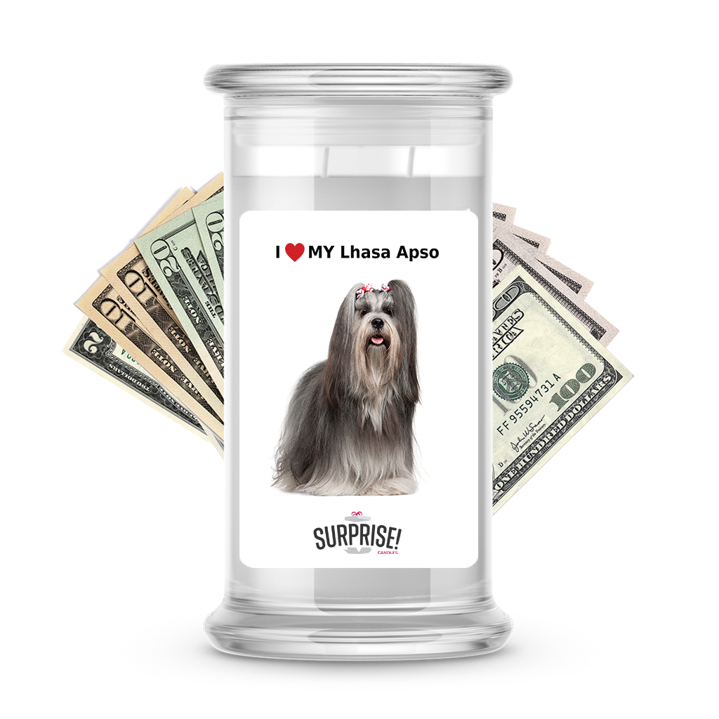 I ❤️ My Lhasa apso | Dog Surprise Cash Candles