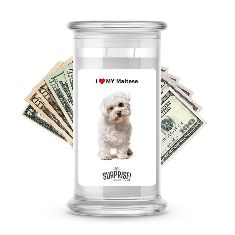 I ❤️ My Maltese | Dog Surprise Cash Candles