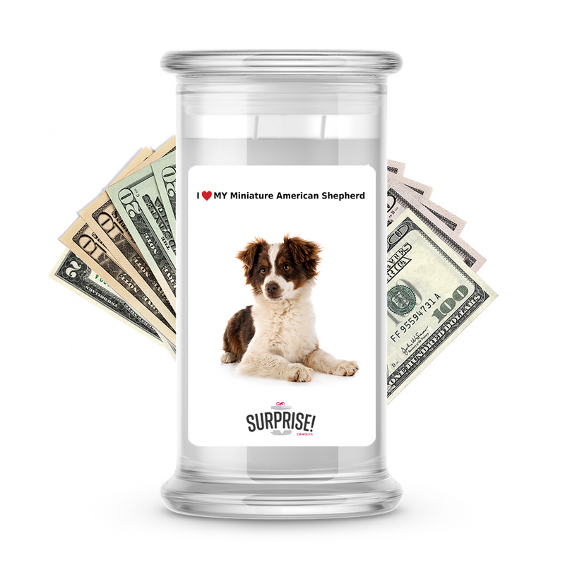 I ❤️ My Miniature American shepherd | Dog Surprise Cash Candles