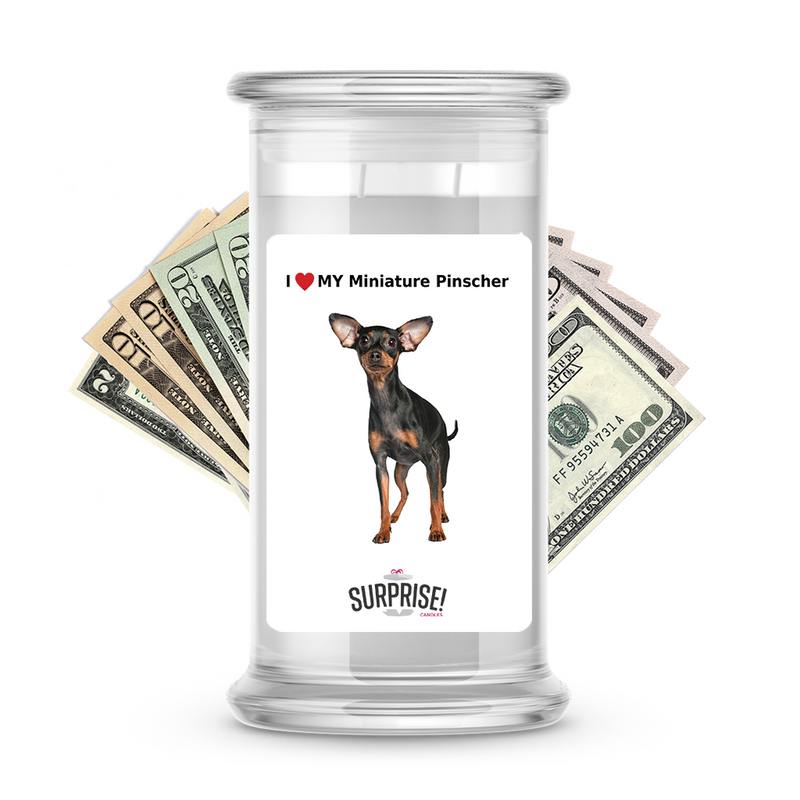 I ❤️ My Miniature pinscher | Dog Surprise Cash Candles