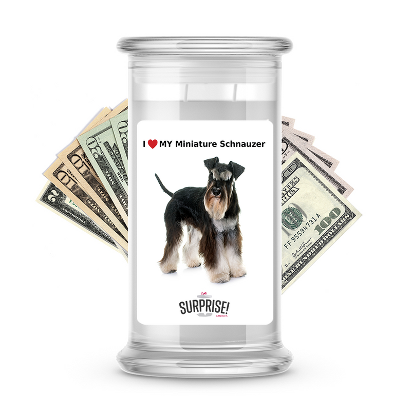 I ❤️ My Miniature schnauzer | Dog Surprise Cash Candles