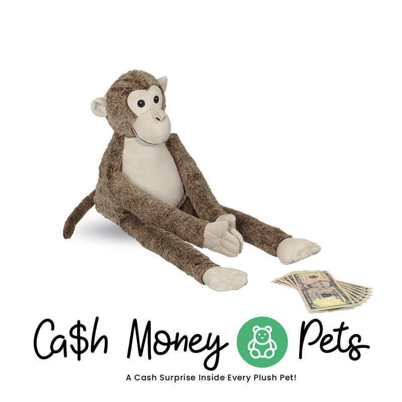 Monkey-3 Cash Money Pet