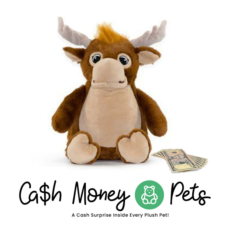 Moose-1 Cash Money Pet
