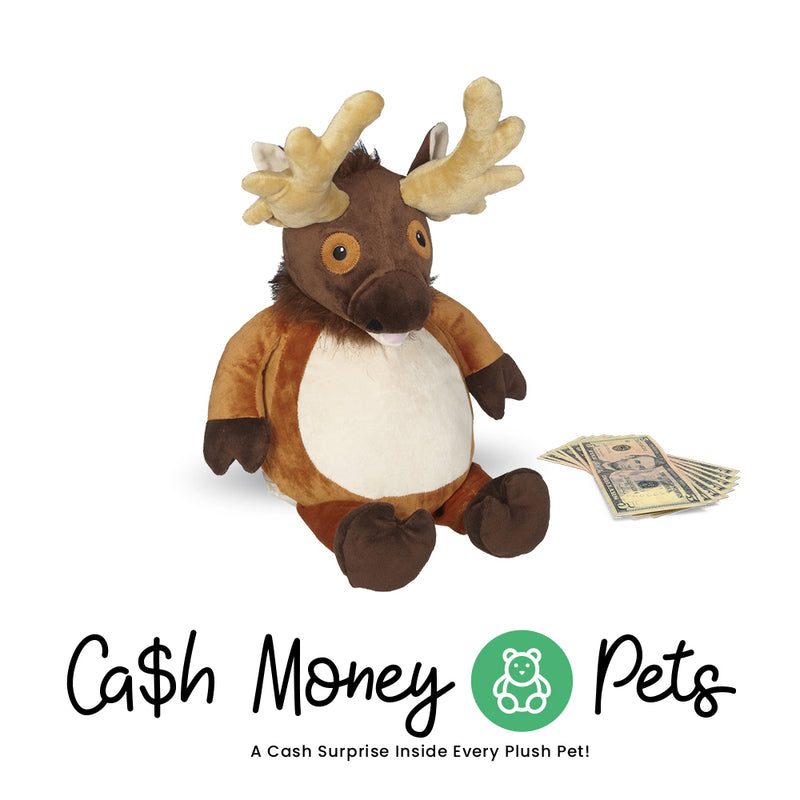 Moose-2 Cash Money Pet