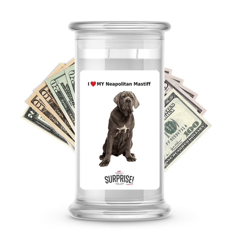 I ❤️ My Neapolitan mastiff | Dog Surprise Cash Candles