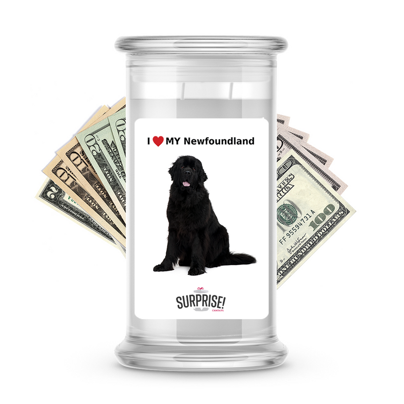 I ❤️ My Newfoundland | Dog Surprise Cash Candles