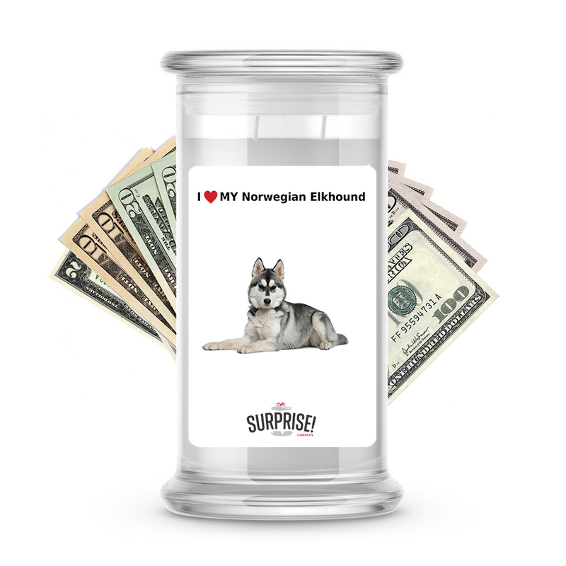 I ❤️ My Norwegian elkhound | Dog Surprise Cash Candles