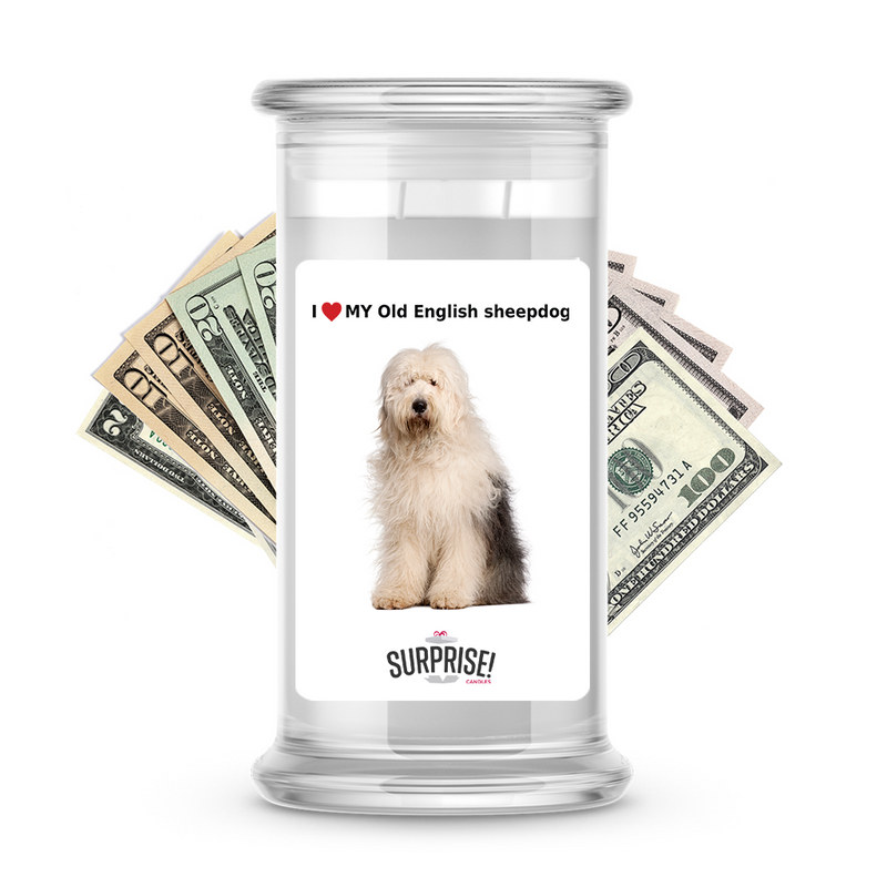 I ❤️ My Old English sheepdog | Dog Surprise Cash Candles