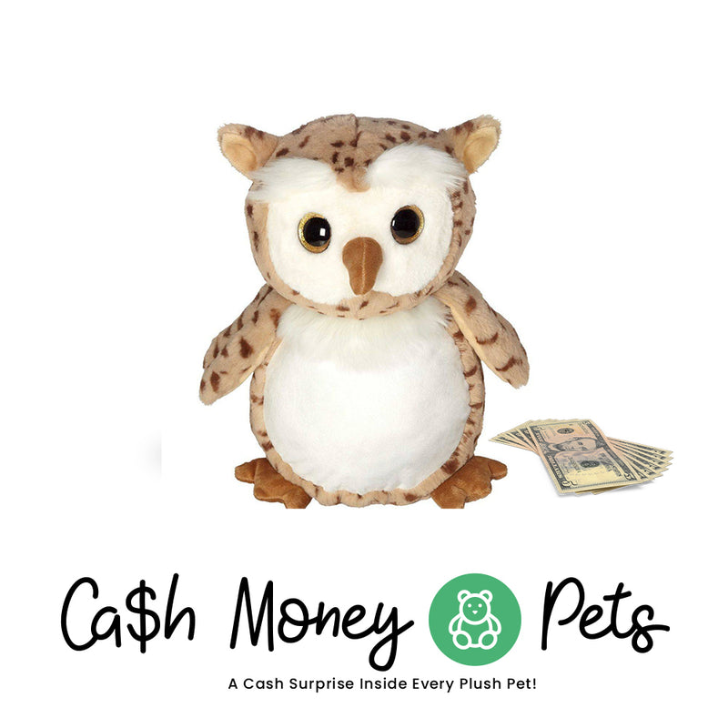 Owl-1 Cash Money Pet