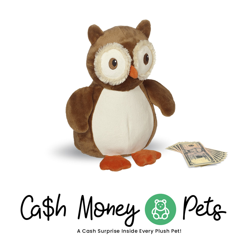 Owl-2 Cash Money Pet