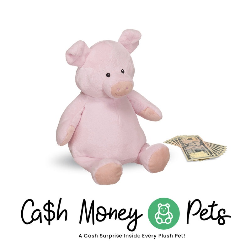 Pig Cash Money Pet