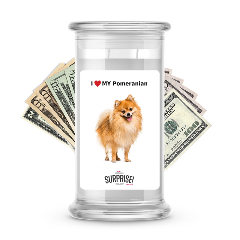 I ❤️ My Pomeranian | Dog Surprise Cash Candles