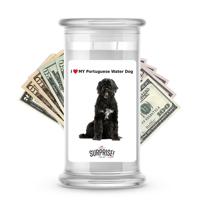 I ❤️ My Portuguese water dog | Dog Surprise Cash Candles
