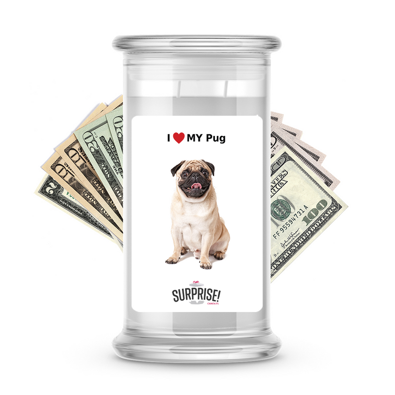 I ❤️ My Pug | Dog Surprise Cash Candles