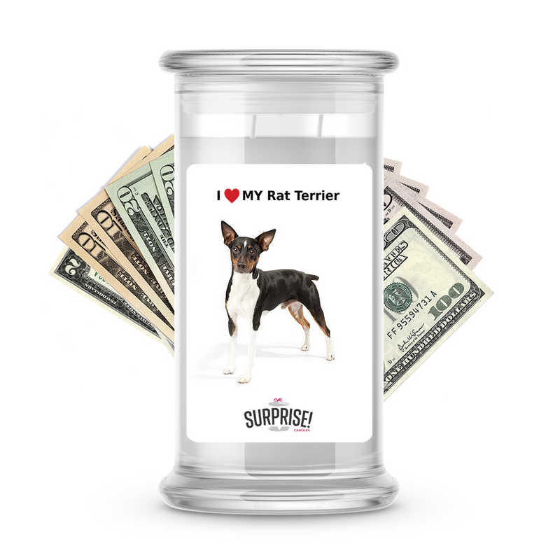 I ❤️ My Rat terrier | Dog Surprise Cash Candles