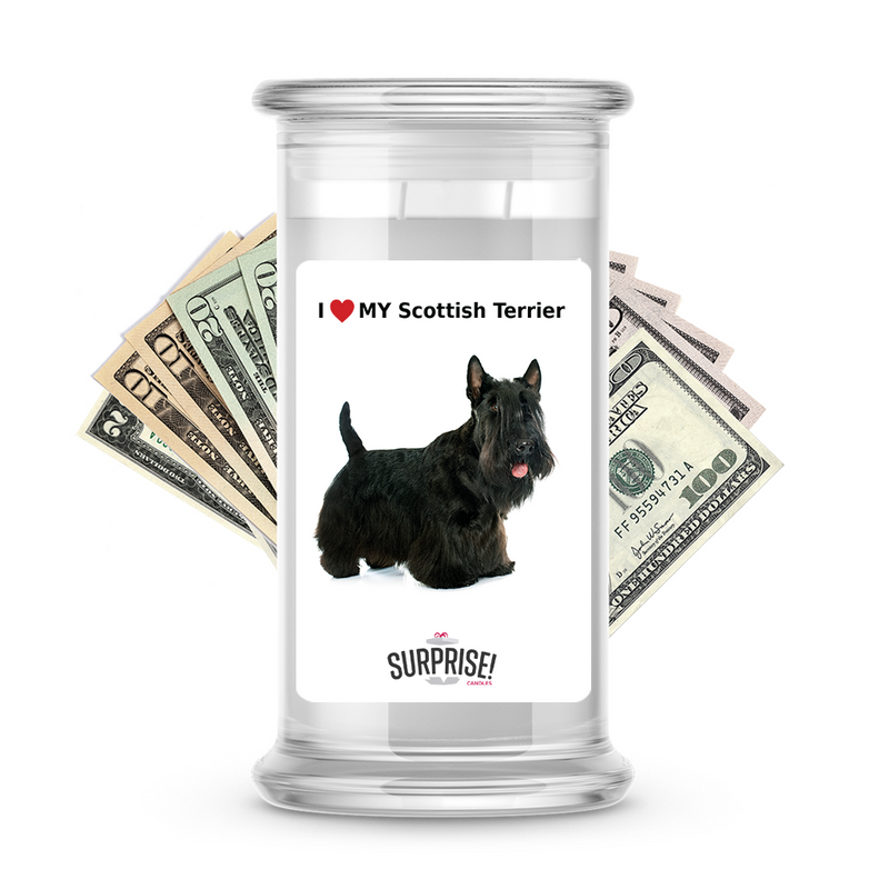 I ❤️ My Scottish terrier | Dog Surprise Cash Candles