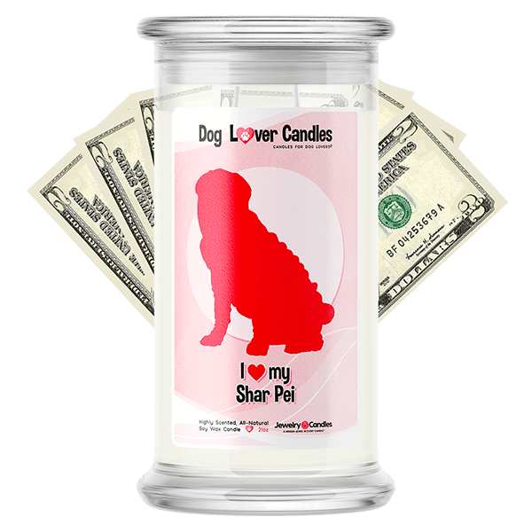 Shar Pei Dog Lover Cash Candle