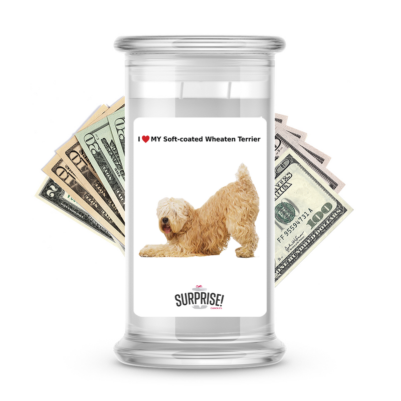 I ❤️ My Soft-coated wheaten terrier | Dog Surprise Cash Candles