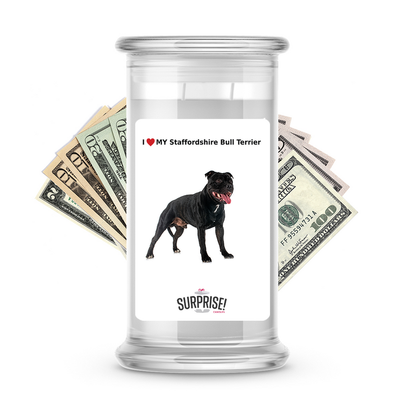 I ❤️ My Staffordshire bull terrier | Dog Surprise Cash Candles