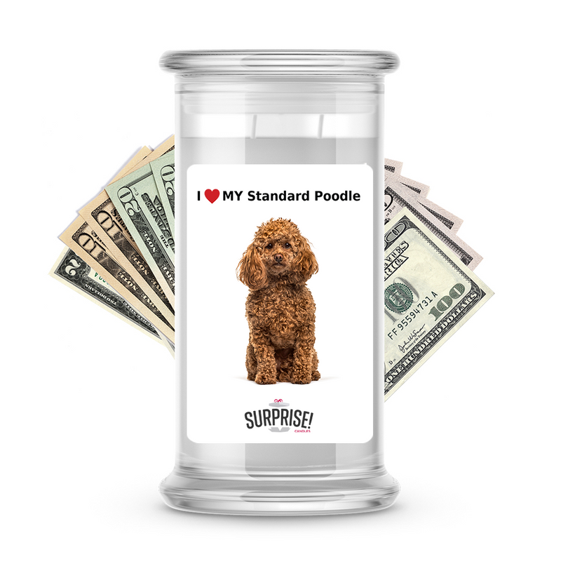 I ❤️ My Standard poodle | Dog Surprise Cash Candles
