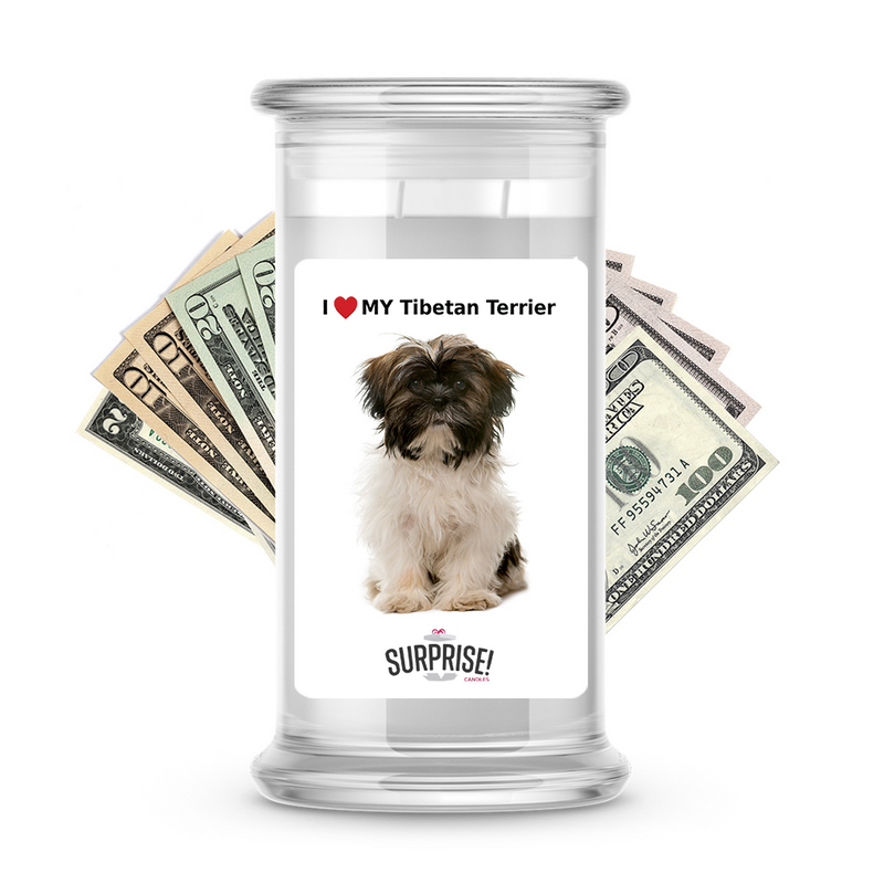 I ❤️ My Tibetan terrier | Dog Surprise Cash Candles