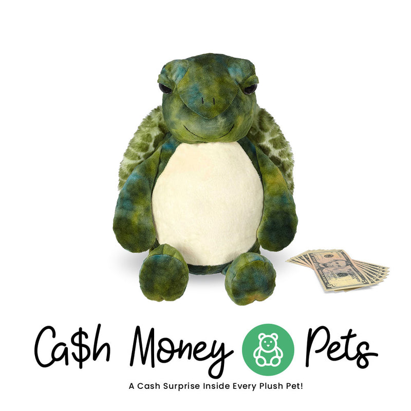 Turtle Cash Money Pet