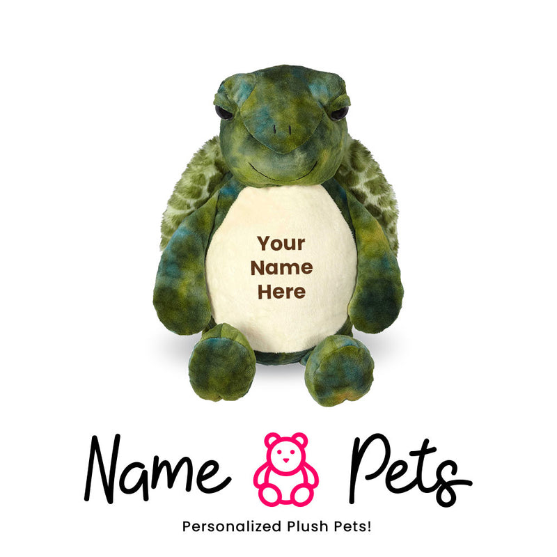 Turtle Name Pet
