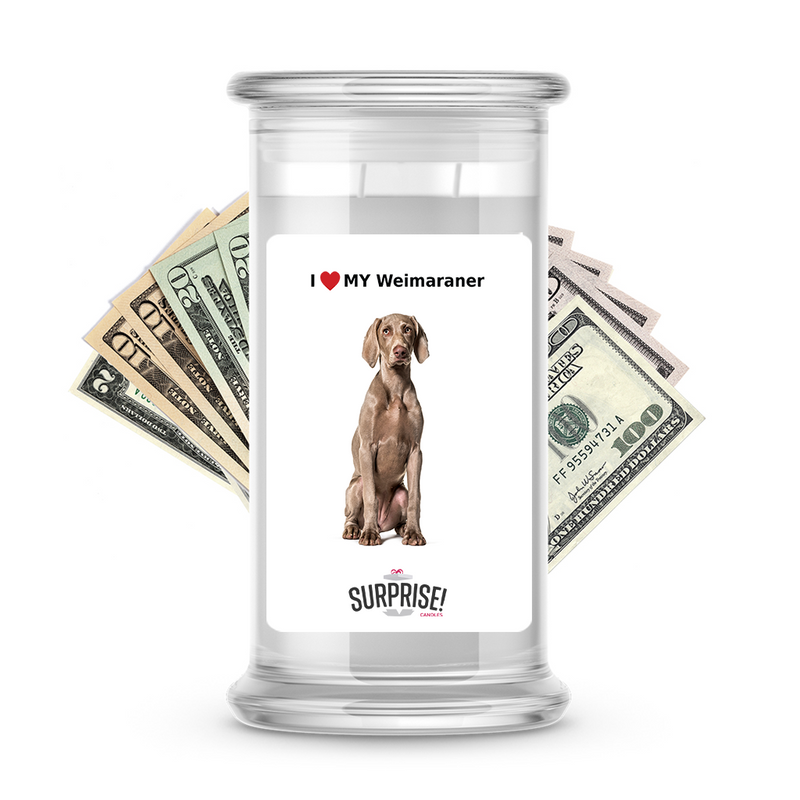 I ❤️ My Weimaraner | Dog Surprise Cash Candles