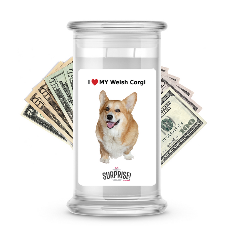 I ❤️ My Welsh corgi | Dog Surprise Cash Candles