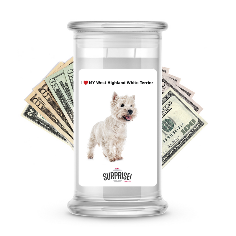 I ❤️ My West Highland white terrier | Dog Surprise Cash Candles