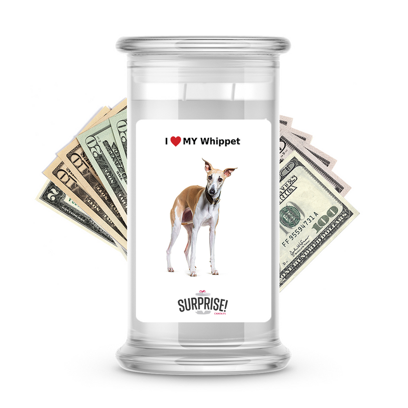 I ❤️ My Whippet | Dog Surprise Cash Candles