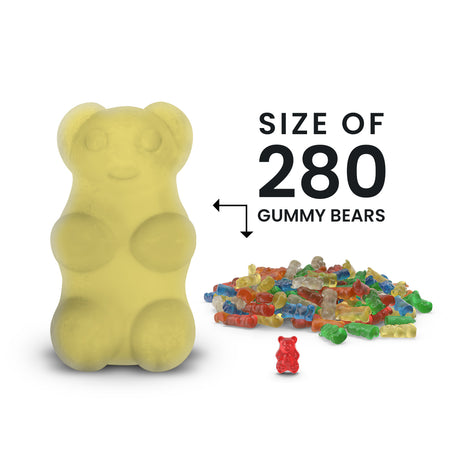 Footprints In The Sand GIANT Cash Money Surprise Bear