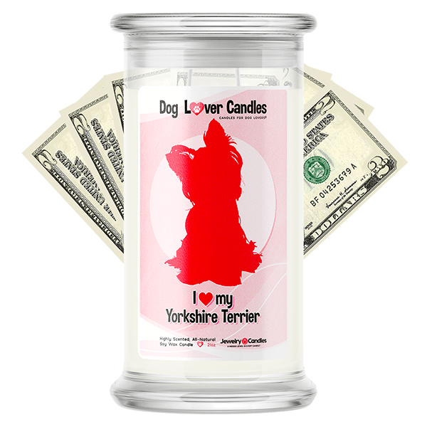 Yorkshire Terrier Dog Lover Cash Candle