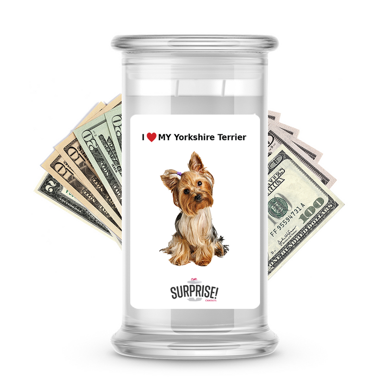 I ❤️ My Yorkshire terrier | Dog Surprise Cash Candles