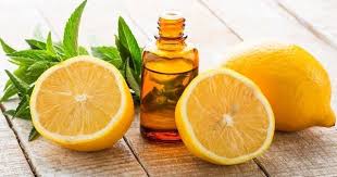 lemon and eucalyptus essential oils