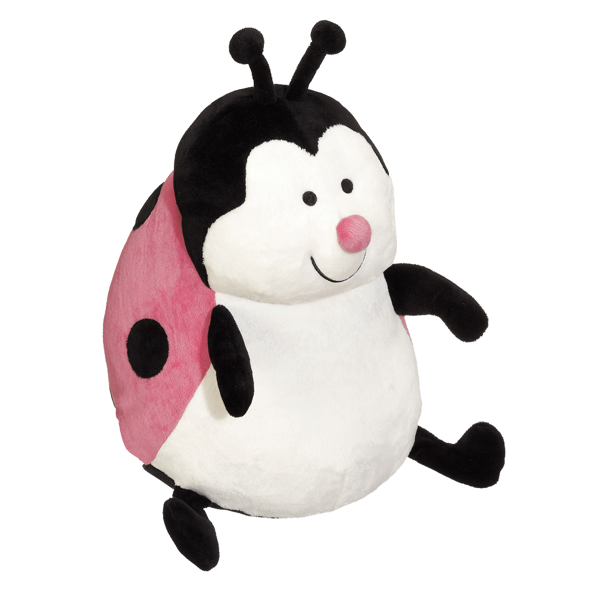 Pink Lady beetle