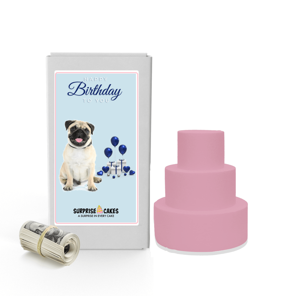 Happy Birthday to you 11 | Birthday Surprise Cash Cakes