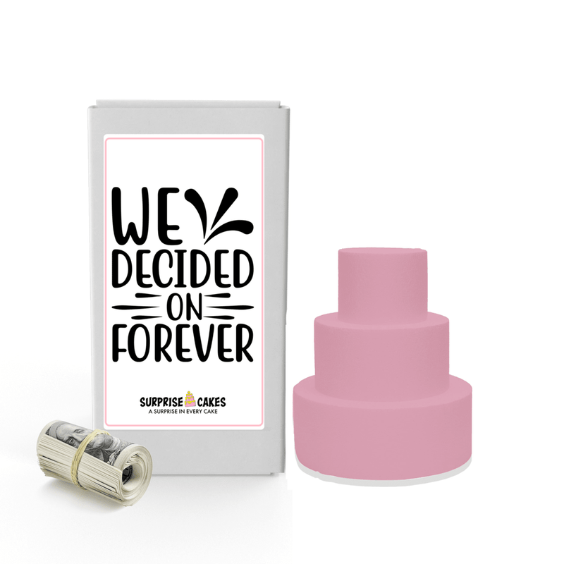 We Decided on Forever | Wedding Surprise Cash Cakes